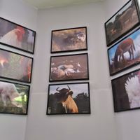 Decoration 1 at Veg'Art in Paris