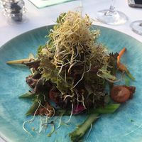 salad the chef created for us at Valldemossa - Frédéric Restaurant in Valldemossa