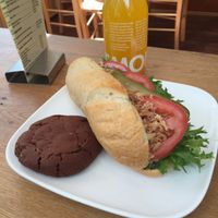 Veis at Veis in Rostock