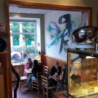 Veis at Veis in Rostock