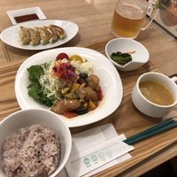 “Pork” and gyozas at T's Tan Tan in Sendai