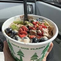   at Pulp + Sprout Juice Bar and Vegan Cafe in Asheville