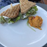   at Pulp + Sprout Juice Bar and Vegan Cafe in Asheville