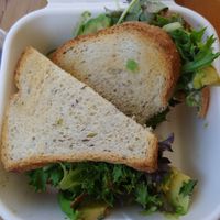 $10 Mean Green Sandwich 🥪 : This was good but a little dry at Pulp + Sprout Juice Bar and Vegan Cafe in Asheville