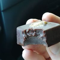 Chocolate bite 🍫: Really good, very rich and chocolatey, a bit bitter at Pulp + Sprout Juice Bar and Vegan Cafe in Asheville