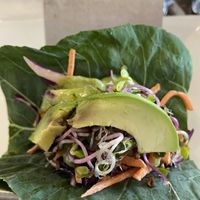Pamela Anderson Raw taco  at VegeNation in Las Vegas