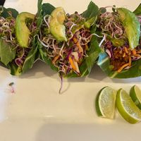   at VegeNation in Las Vegas