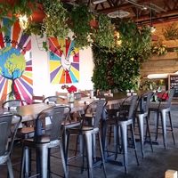 VegeNation  Jan 2017 at VegeNation in Las Vegas