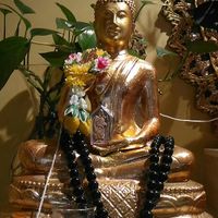 Beauty at Thai Ivory Cuisine in Bedford