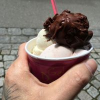 dark chocolate, rhubarb, fig -- all vegan at Gelateria Dario - Schokoladen Manufaktur in Ravensburg