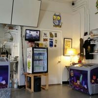 inside at Planet Yum in Vero Beach