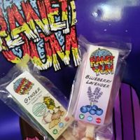 vegan yum pops at Planet Yum in Vero Beach