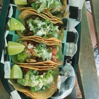 Different tacos with sauce salsa verde at Momencik in Warsaw
