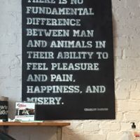 sign inside at Momencik in Warsaw