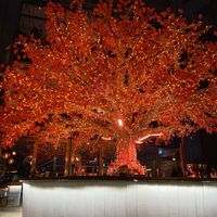The bar outside  at Sushi Samba in London