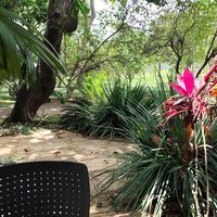  at Supren Verda in Brasilia