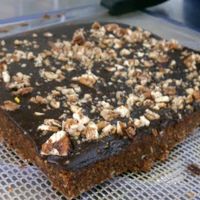 Chocolate Brownies! at The Graff Academy of Raw Food Education in Roswell