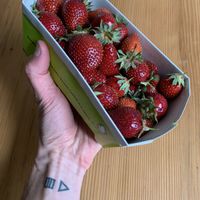 Local organic strawberries (10.50) at Hallerladen in Bern