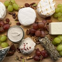   at Vegasme in Brussels