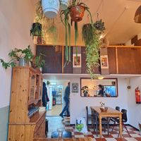  at Robin Food in Amsterdam