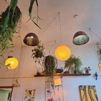  at Robin Food in Amsterdam