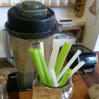 Bio straws & cups made from corn starch at Elixir Cafe in Cape Town