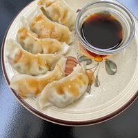 Gyozas 😑 at La Camelia Vegan Bar in Bilbao