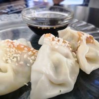 Giyozas at La Camelia Vegan Bar in Bilbao