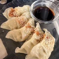   at La Camelia Vegan Bar in Bilbao