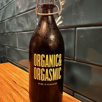 500ml vino tinto  at La Camelia Vegan Bar in Bilbao