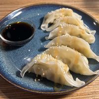 Gyozas  at La Camelia Vegan Bar in Bilbao