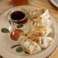Gyoza at La Camelia Vegan Bar in Bilbao