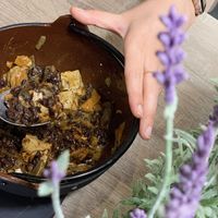 Curry at La Camelia Vegan Bar in Bilbao