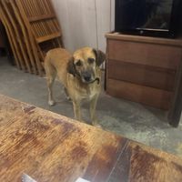   at Cafe do Mar in Ilha Grande