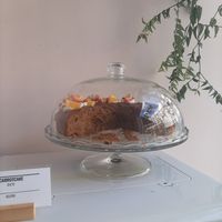 Carrot cake 😀 at FOAM in The Hague