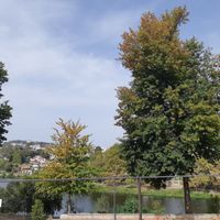  at Bar do Girassol in Amarante