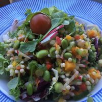 Superfoodsalade  at Hajé in Nieuwegein