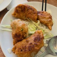 Potstickers at Veggie Lee in Hayward