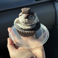 Vegan cupcakees  at Buttermilk Bake Shop in Petersburg