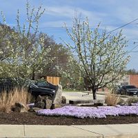 A nice place outside to sit and enjoy your treats! at Buttermilk Bake Shop in Petersburg