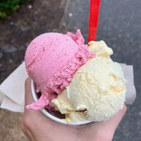 Yellow Cake and Wild Berry at Sea Star Gelato in Seaside