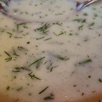 Chłodnik ogórkowy at Vege Bistro - Polish Vegan Food in Warsaw