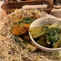 vegan schnitzel  at Vege Bistro - Polish Vegan Food in Warsaw