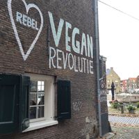  at Rebel Rebel in Dordrecht