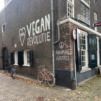   at Rebel Rebel in Dordrecht