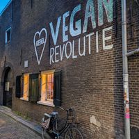 💚 at Rebel Rebel in Dordrecht