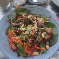 True colors salade at Rebel Rebel in Dordrecht