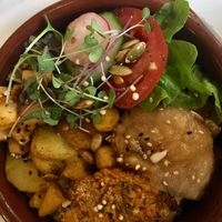 The gratin at Lokaal in Ghent