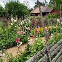 beautiful garden at Linnes Rashult in Almhult