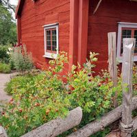  at Linnes Rashult in Almhult